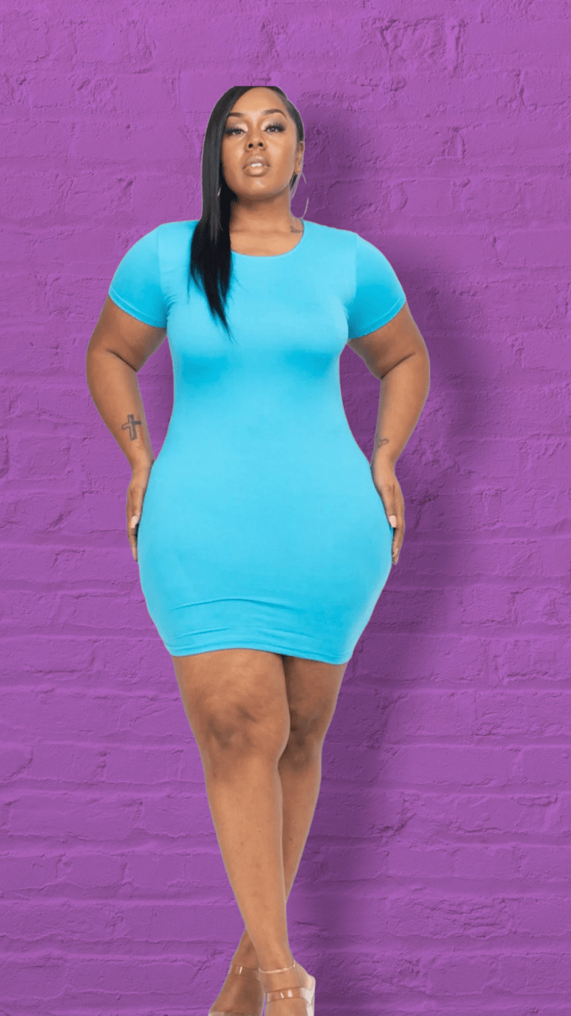 Short Sleeve Mini (Plus Size) - SwishHer